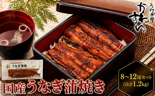国産うなぎ  蒲焼き 8～12尾セット(合計1.2kg) タレ付き 国産 うなぎ ウナギ 鰻 蒲焼 かば焼き セット 惣菜 冷凍 2788177 - 香川県東かがわ市