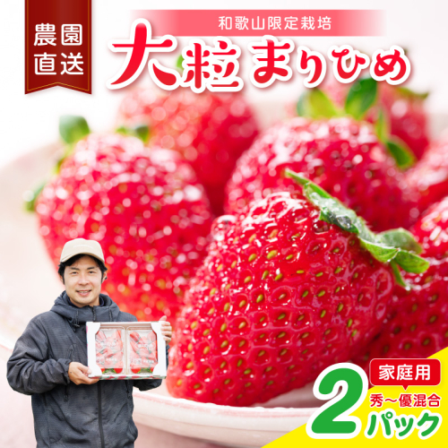 大粒の贅沢！「まりひめ」を農家直送で【家庭用】2パック 【配送不可地域：北海道・青森・秋田・岩手・沖縄・離島】 2788581 - 和歌山県御坊市