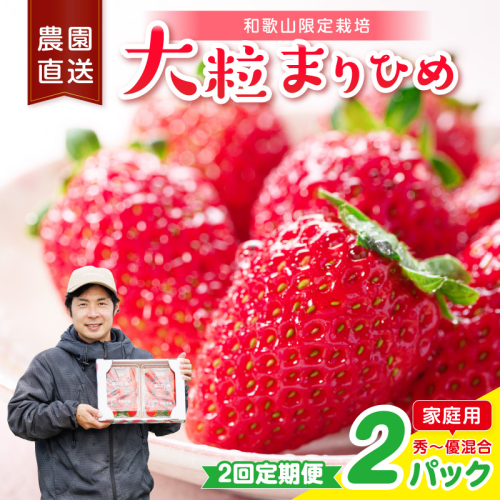 【2回定期便】大粒の贅沢！毎月届く幸せ「まりひめ」を農家直送で【家庭用】2パック ＜固定月配送＞ 【配送不可地域：北海道・青森・秋田・岩手・沖縄・離島】 2788582 - 和歌山県御坊市