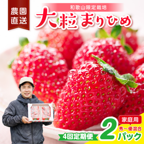 【4回定期便】大粒の贅沢！毎月届く幸せ「まりひめ」を農家直送で【家庭用】2パック ＜固定月発送＞ 【配送不可地域：北海道・青森・秋田・岩手・沖縄・離島】 2788583 - 和歌山県御坊市