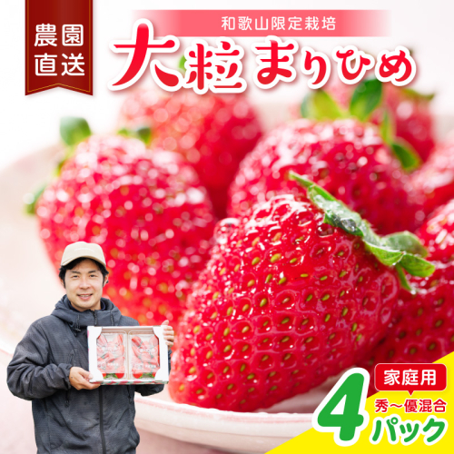 大粒の贅沢！「まりひめ」を農家直送で【家庭用】4パック 【配送不可地域：北海道・青森・秋田・岩手・沖縄・離島】 2788584 - 和歌山県御坊市