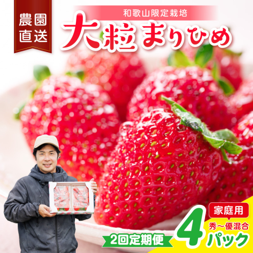 【2回定期便】大粒の贅沢！毎月届く幸せ「まりひめ」を農家直送で【家庭用】4パック ＜固定月発送＞ 【配送不可地域：北海道・青森・秋田・岩手・沖縄・離島】 2788585 - 和歌山県御坊市