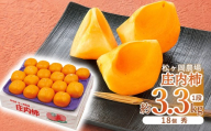 【令和8年産】松ヶ岡農場庄内柿 18個入（秀品3.3kg）脱渋済み 山形県鶴岡市産　庄内観光物産館事業部 | 柿 カキ 種無し柿 旬 果物 フルーツ 甘い おいしい おすすめ お取り寄せ 返礼品