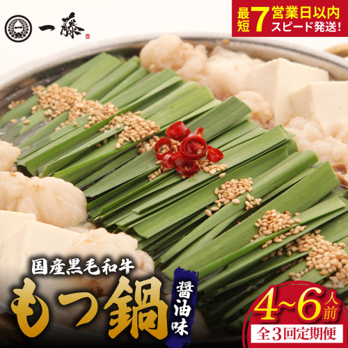 【定期便3回】国産黒毛和牛のもつ鍋醤油味 4～6人前『もつ鍋一藤』【SC008】 2788679 - 福岡県篠栗町