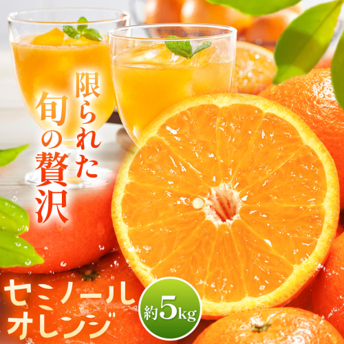 オレンジ セミノールオレンジ 約5kg 株式会社魚鶴商店《5月上旬-5月下旬頃出荷予定》 和歌山県 日高川町 柑橘 フルーツ
 2788769 - 和歌山県日高川町