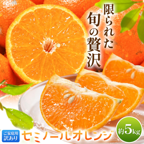 オレンジ 訳あり ご家庭用 セミノールオレンジ 約5kg 株式会社魚鶴商店《5月上旬-5月下旬頃出荷予定》 和歌山県 日高川町 柑橘 フルーツ 2788770 - 和歌山県日高川町