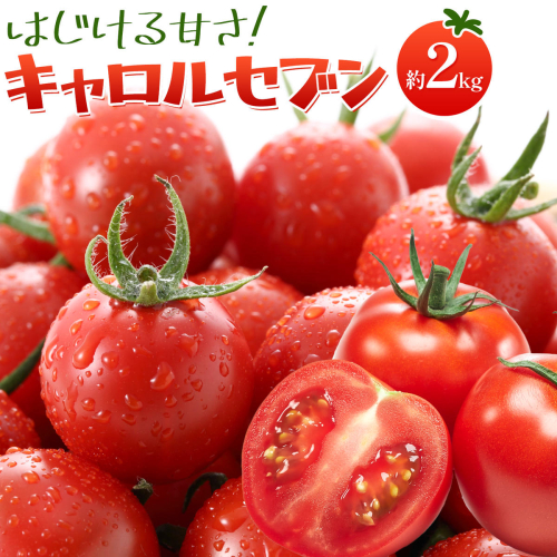 トマト キャロルセブン ミニトマト 2kg GOGO農園 《11月上旬-5月末頃出荷》 和歌山県 日高川町 野菜 とまと サラダ カプレーゼ お弁当 青果物 2788771 - 和歌山県日高川町