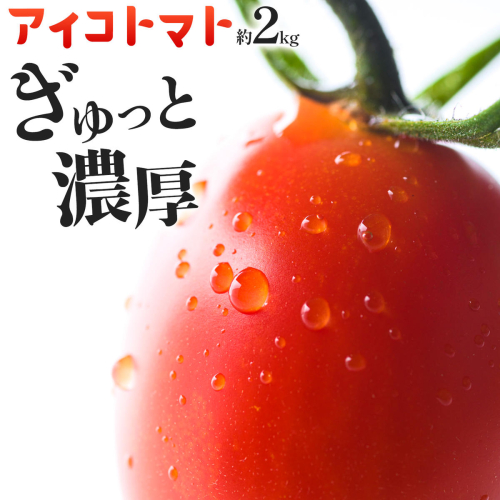 トマト アイコトマト ミニトマト 2kg GOGO農園 《11月上旬-5月末頃出荷》 和歌山県 日高川町 野菜 とまと サラダ カプレーゼ お弁当 青果物 2788773 - 和歌山県日高川町