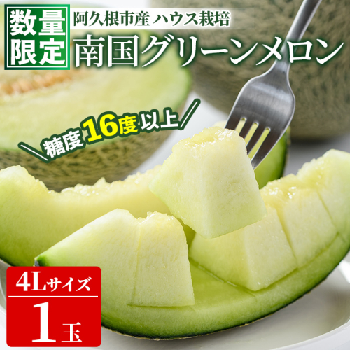 ＜先行予約受付中！2027年6月中旬以降順次発送予定＞ 数量限定！鹿児島県産南国グリーンメロン(4Lサイズ×1個) メロン フルーツ デザート 果物 鹿児島 国産 阿久根市産 青肉 ハウス ハウス栽培 期間限定 【東新グリーンファーム合同会社】akn062-14 2789112 - 鹿児島県阿久根市