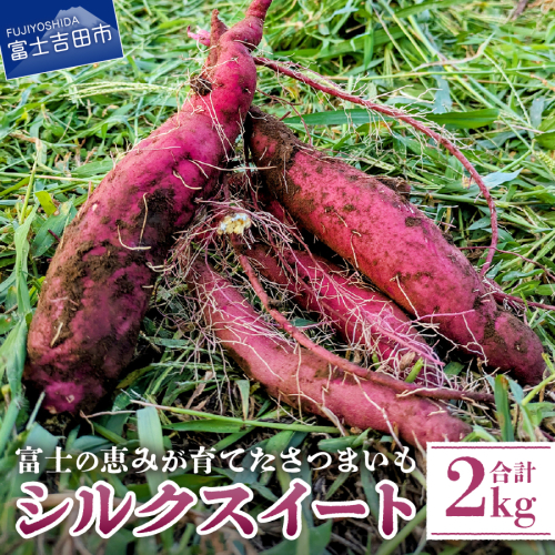 サツマイモ（シルクスイート）2kg 2789113 - 山梨県富士吉田市