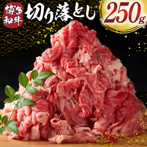 肉 牛肉 博多和牛 切り落とし 250g [MEAT PLUS 福岡県 宇美町 um40azp010057] ふるさと納税 牛肉 牛 肉 和牛 黒毛和牛 切落し 赤身 和牛 肩肉 牛肩 バラ肉 バラ 国産 冷凍 2789168 - 福岡県宇美町