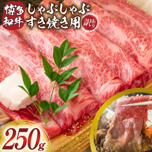 訳あり 博多和牛 しゃぶしゃぶ すき焼き 250g [MEAT PLUS 福岡県 宇美町 um40azp010056] ふるさと納税 牛肉 肉 肩ロース 肩バラ モモ肉 バラ肉 和牛 牛しゃぶ 牛すき 冷凍 2789169 - 福岡県宇美町
