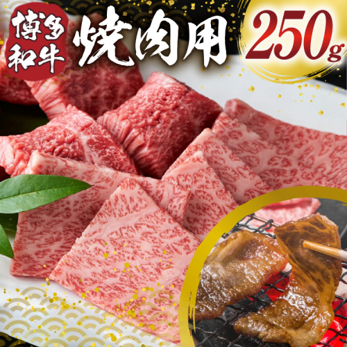 博多和牛 焼肉用 250g [MEAT PLUS 福岡県 宇美町 um40azp010055] ふるさと納税 牛肉 焼肉 焼き肉 肉 肩ロース肉 肩バラ肉 モモ肉 和牛 冷凍 2789171 - 福岡県宇美町