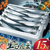 【期間限定発送】 生 さんま 15尾 [阿部長商店 宮城県 気仙沼市 20566342] 魚 サンマ 秋刀魚 生鮮 鮮魚 季節限定