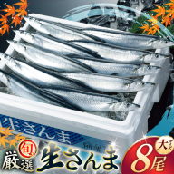 【期間限定発送】生 さんま 8尾 大サイズ [阿部長商店 宮城県 気仙沼市 20566343] 魚 サンマ 秋刀魚 生鮮 鮮魚 季節限定