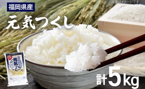 【令和7年産】福岡県 大木町産 元気つくし ５kg　BC02-2 2789180 - 福岡県大木町