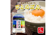 庄内産ひとめぼれ5kg（令和8年産米）1月下旬