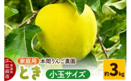 【26年10月発送】りんご とき【家庭用】約3kg 小玉 先行受付 青森県 弘前市 果物 フルーツ 林檎 リンゴ くだもの 不揃い 規格外 [先行予約 産地直送 アップル おいしい 果実 美味 甘い 黄色] [u9]