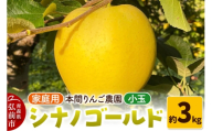 【26年10月下旬～発送】りんご シナノゴールド【家庭用】約3kg 小玉 先行受付 青森県 弘前市 果物 フルーツ 林檎 リンゴ くだもの 不揃い 規格外 [先行予約 産地直送 アップル おいしい 果実 美味 甘い 黄色] [u9]