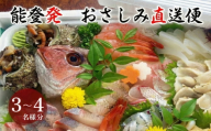 【お届け日： １０月２７日 (火)】【能登半島地震復興支援】能登産 お刺身盛り合わせセット そのまま食べれる冷蔵便 「おさしみ直送便～海～」3～4名様分｜冷蔵 生 魚介 海鮮 さしみ 詰め合わせ 盛り付け 日本海 海の幸 シーフード 直送 能登湾 能登 復興 復興支援 石川県 七尾市 能登産刺身 冷蔵刺身 生刺身 魚介刺身 海鮮刺身 刺身詰め合わせ 日本海刺身 海の幸刺身 刺身直送 能登湾刺身