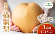 備前横綱梨 あたご梨 3玉箱 赤秀 1～1.5kg玉 岡山県産 | あたご梨 愛宕梨 梨 特選品 上級品 贈り物 御歳暮 果物 くだもの フルーツ 和梨 石原果樹園【ishk029-01】