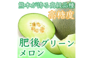 肥後グリーンメロン 1玉 4L以上 （ 約2kg ） メロン めろん グリーンメロン 青肉メロン 果物 くだもの フルーツ 果実 果肉 果汁 甘み 国産 熊本県産 【 2027年5月上旬～7月下旬発送予定 】