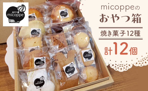 おやつ屋micoppeのおやつ箱（焼き菓子12種・計12個）焼菓子 クッキー サブレ マドレーヌ フィナンシェ レモンケーキ セット 詰合せ 手作り おやつ スイーツ 静岡 森町 2789910 - 静岡県森町