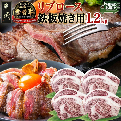 宮崎牛リブロース鉄板焼き用 (300g×4枚)≪みやこんじょ快速便≫_AE-N403-R 2790067 - 宮崎県都城市