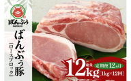【定期便12ヶ月】ブランド豚「ばんぶぅ」ロースブロック1kg 定期便 ばんぶぅ 豚肉 ロース ブロック肉 しゃぶしゃぶ 焼き肉 真空パック しょうが焼き 生姜焼き しゃぶしゃぶ肉 焼肉用 ぶた肉 ブタ肉 国産 茨城県産 ギフト プレゼント 冷蔵 高級部位 ブランド豚 42-BO