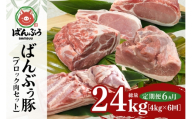 【定期便6ヶ月】ブランド豚「ばんぶぅ」ブロック肉セット（計4kg） 定期便 ばんぶぅ 豚肉 ブロック肉 ロース 豚バラ 肩ロース モモ ブロック しゃぶしゃぶ 焼き肉 真空パック しゃぶしゃぶ肉 焼肉用 ぶた肉 ブタ肉 国産 茨城県産 ギフト プレゼント 冷蔵 高級部位 ブランド豚 42-CD