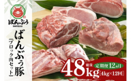 【定期便12ヶ月】ブランド豚「ばんぶぅ」ブロック肉セット（計4kg） 定期便 ばんぶぅ 豚肉 ブロック肉 ロース 豚バラ 肩ロース モモ ブロック しゃぶしゃぶ 焼き肉 真空パック しゃぶしゃぶ肉 焼肉用 ぶた肉 ブタ肉 国産 茨城県産 ギフト プレゼント 冷蔵 高級部位 ブランド豚 42-CE