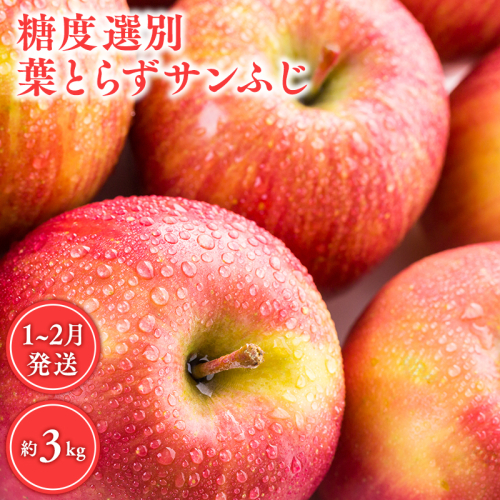 年明け 糖度選別 葉とらずサンふじ 約3kg 【青森県 平川市 JA津軽みらい 1月・2月】年明け発送 青森 青森県産 平川 りんご リンゴ 林檎 くだもの 果物 ふじ フルーツ 2790176 - 青森県平川市