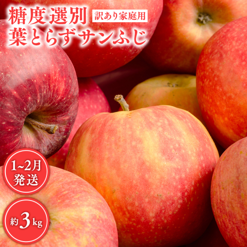 年明け 糖度選別 訳あり 葉とらずサンふじ 約3kg 【JA津軽みらい 1月・2月】年明け発送 青森 青森県産 平川 りんご リンゴ 林檎 くだもの 果物 ふじ フルーツ 2790194 - 青森県平川市