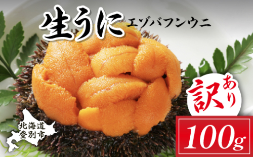 【ミョウバン不使用】訳あり 規格外品 無添加 エゾバフンウニ 塩水パック 100g　配送期間C：1月下旬から3月下旬迄 [mh-0906_C] 2790214 - 北海道登別市