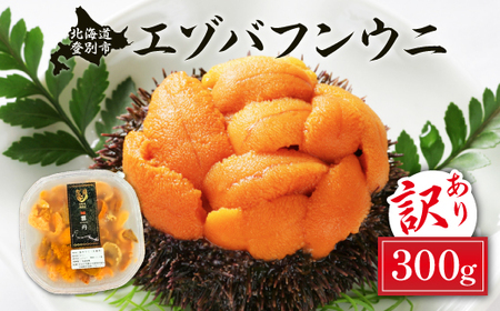 ≪規格外品300g≫ 無添加 エゾバフンウニ 塩水パック 300g　配送期間C：1月下旬から3月下旬迄 [mh-0469_C] 2790377 - 北海道登別市