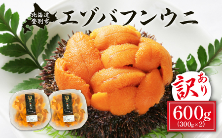 ≪規格外品600g≫ 無添加　エゾバフンウニ塩水パック600g 配送期間B:10月下旬から11月下旬迄 [mh-0248_C] 2790378 - 北海道登別市