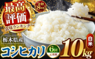 【令和8年産 先行予約】 ＼訳あり／ こしひかり 新米 白米 10kg 【定期便 ６回】 | 米 お米 こめ コメ 白米 ライス ご飯 ごはん 美味しい 米 こしひかり コシヒカリ 5kg 銘柄米 ブランド米 令和8年産 産地直送  定期便 ６回 新米 国産 国産米 栃木県産 お米 栃木県産米 お取り寄せ  2026年産 米 kome 栃木県 真岡市