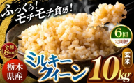 【令和8年産 先行予約】 ＼訳あり／ ミルキークイーン  玄米 10kg【定期便６回】 | 米 お米 こめ コメ ライス ご飯 ごはん 美味しい 米 ミルキークイーン 10kg  銘柄米 ブランド米 令和8年産 産地直送  定期便 ６回 新米  国産 国産米 栃木県産 お米 栃木県産米 お取り寄せ  2026年産 米 kome 栃木県 真岡市