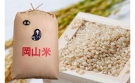 令和8年産 新米 先行予約 備前乙女米 玄米 30kg×1袋 岡山県産 | 米 お米 玄米 特A きぬむすめ 石原果樹園 【ishk040-01】