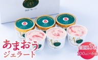 ＜定期便・全3回＞福岡産 あまおう ジェラート 100ml×6個 | いちご 濃厚 果汁 高級 アイス デザート スイーツ