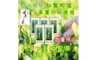 ＜数量限定＞＜自宅用＞知覧茶園の深むし茶「さつま知覧茶」知覧町産　70g×5本セット【1767807】