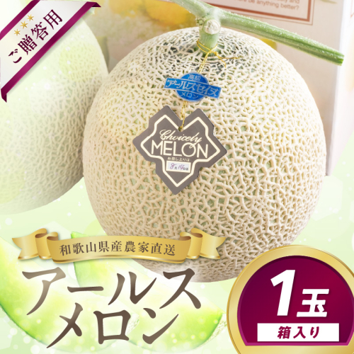 農家直送!和歌山県御坊市産アールスメロン1玉≪先行予約 2027年7月より順次発送分≫ 2790987 - 和歌山県御坊市