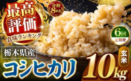 【令和8年産 先行予約】【定期便6回】訳あり こしひかり 約10kg 玄米 |   米  お米 こめ 玄米 ご飯 ごはん もちもち コシヒカリ   栃木県 真岡市 送料無料