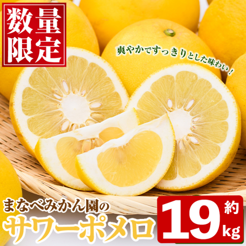 ＜先行予約受付中！2027年2月下旬以降順次発送予定＞まなべみかん園のサワーポメロ(約19kg) 国産 鹿児島県産 阿久根市産 柑橘類 果物 フルーツ 期間限定 数量限定 デザート 【有限会社まなべみかん園】akn034-22 2791080 - 鹿児島県阿久根市