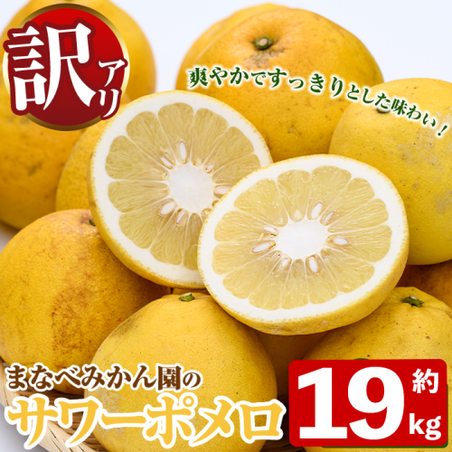 ＜先行予約受付中！2027年2月下旬以降順次発送予定＞訳あり！まなべみかん園のサワーポメロ(約19kg) 国産 鹿児島県産 阿久根市産 柑橘類 果物 フルーツ 数量限定 デザート 訳アリ 【有限会社まなべみかん園】akn034-23 2791082 - 鹿児島県阿久根市