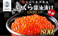 いくら 醤油漬け 80g × 10個 ( 800g ) 小分け 便利 手作り 自家製 生もみ 伝統製法 お取り寄せ ギフト 贈答 海鮮 魚介 魚卵 山十前川商店 北海道 標津町