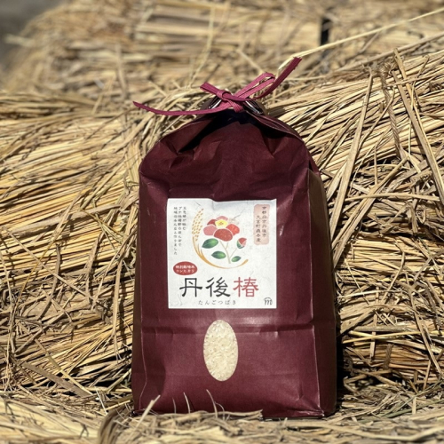 令和8年産 特別栽培米コシヒカリ 丹後椿（京丹後森本産） 2kg【定期便3回】 京丹後産 コシヒカリ 白米 お米 米 コメ 2791395 - 京都府京丹後市