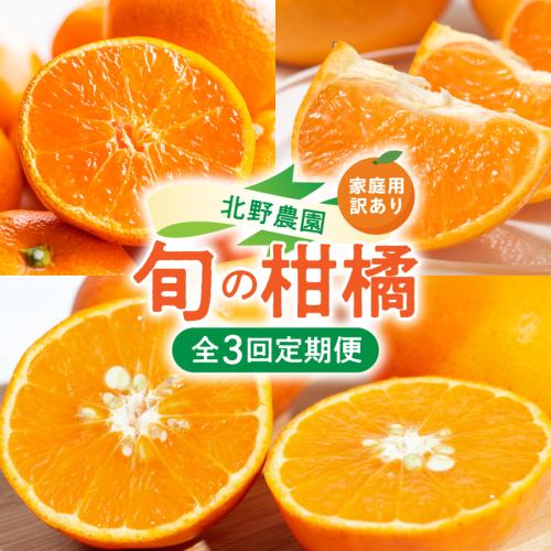 北野農園の旬の柑橘定期便（訳あり・家庭用）【全3回】_DZ60-T01 2791397 - 和歌山県湯浅町