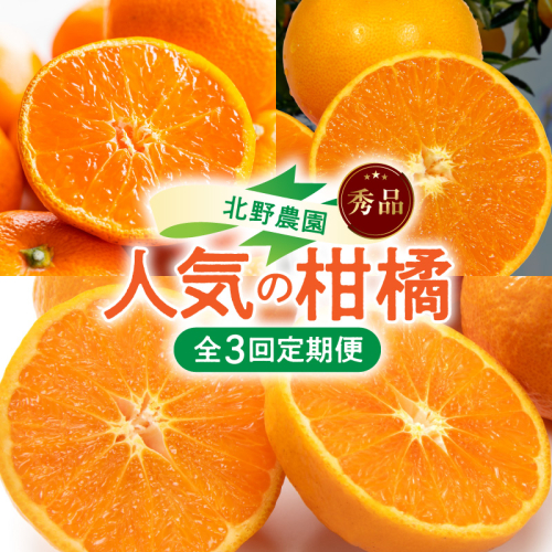 北野農園の人気の柑橘定期便（秀品）【全3回】_DZ60-T02 2791398 - 和歌山県湯浅町