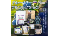 【 ブルーベリー フルコレクション 7種 】 生ブルーベリー ・ ブルーベリーシロップ ・ ジャム  ・ ドライブルーベリー ・ ブルーベリーソース ・ ブルーベリー生キャラメル ・ ブルーベリーシロップ漬け ×1セット ブルーベリー 国産 自然栽培 無農薬 化学肥料不使用 宮城県 石巻市 宮城 石巻